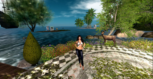 Web 6643e2612c8ed2205d729709