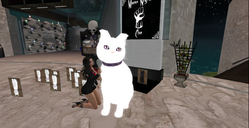 Web 6643f0802c8ed24577729709