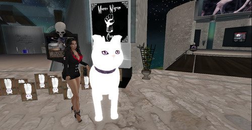 Web 6643f0ceb6f8aa424ac7c337