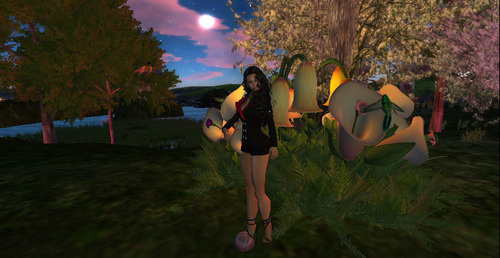 Web 66456368fa70733f6941394c