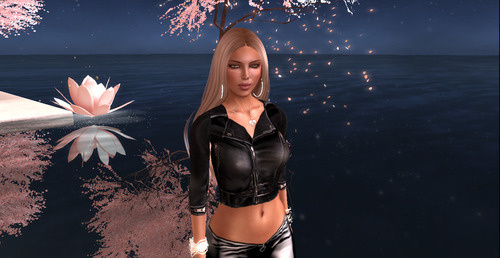 Web 666e464c6e233a3d5130c087