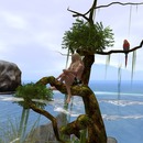 Thumb 5669271c3f942f6205000001