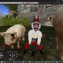 Thumb 578ef9a2b713f754e3000001