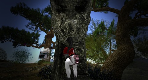 Web 578af0bcf8a1ec7e7e000001