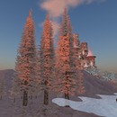 Thumb 547d989b8da5721e39000001