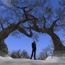 Thumb 547edcf1f8a1ec3783000001