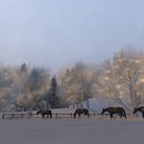 Thumb 54801ed9128cc919e0000001