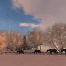 Thumb 54802416a73e212779000001