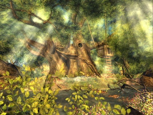 Web 54803701128cc97601000001