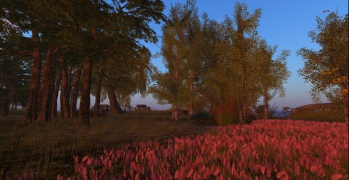 Web 548580ac8da5720df0000001