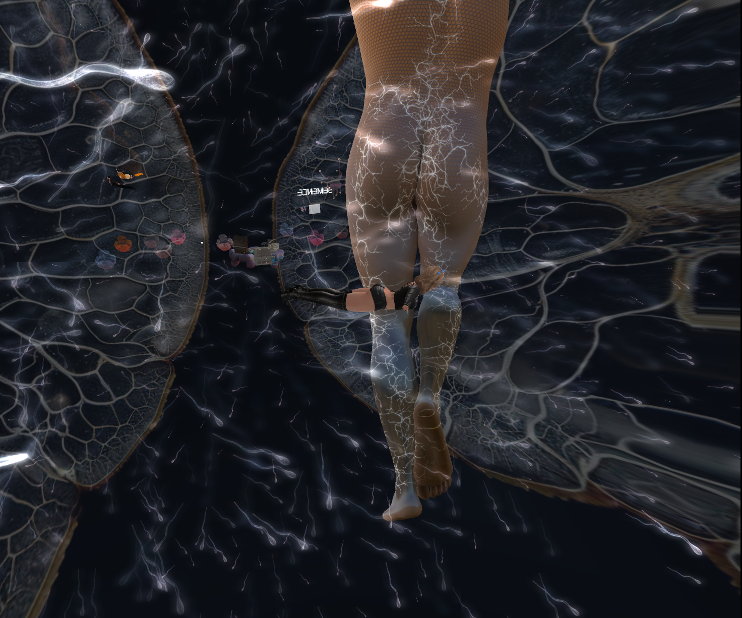 Original 667a08f282b55136616fd4c0