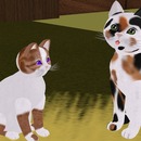 Thumb 560318e2128cc93d42000001