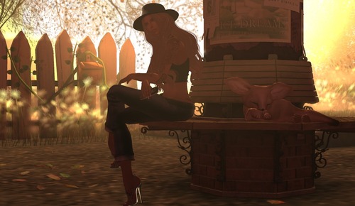 Web 5604520fa73e213aef000001