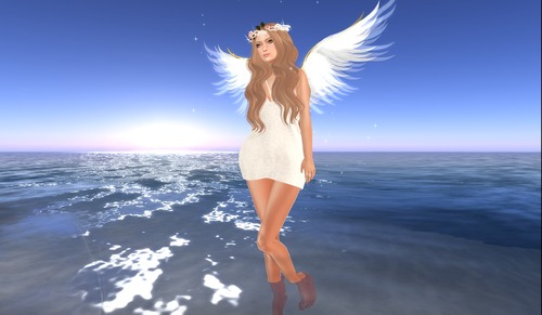 Web 56213b8b3f942f1ddb000001