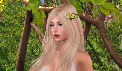 Web 577d5073f8a1ec1461000001