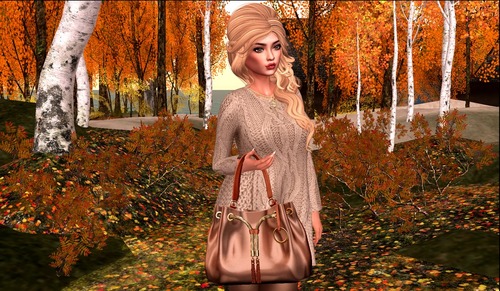 Web 581cfcceb015400a53000001