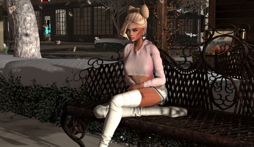 Web 58517d7cb713f72e75000001