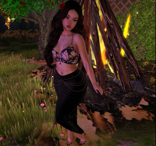 Web 6661c4e3f73d106498875b01