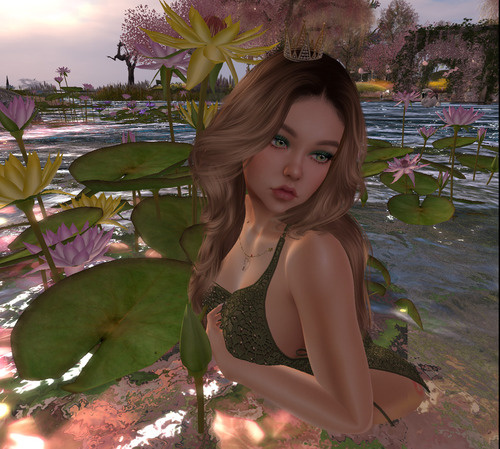 Web 66632995fa7073358841394c