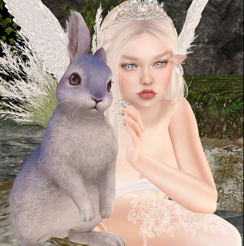 Web 6669d4e1d676ba1b34a8c0fc