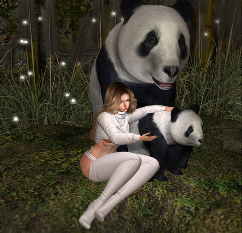 Web 669d1c6a366b460e521d3f1b