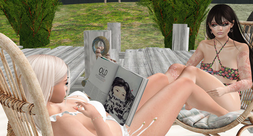 Web 66aa646c2c8ed27172729709