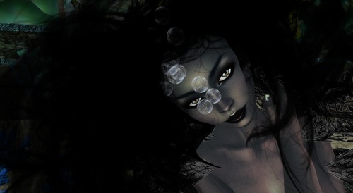 Web 565952073f942f1b2b000001