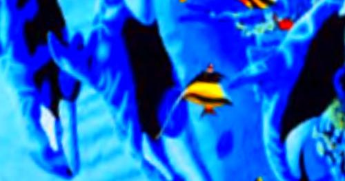 Web 593ba85e289dd223e4000001