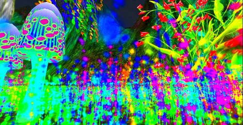 Web 5acaa4b4d774f85d6c000001