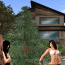 Thumb 559c34a3128cc95c2f000001