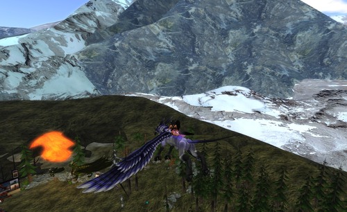 Web 54759a678da5720a2f000001