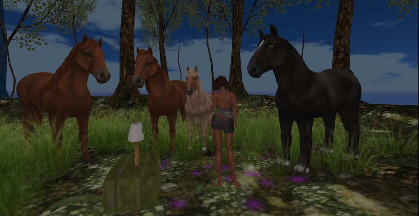 Original 55550aaea73e215380000001