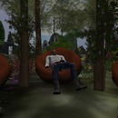 Thumb 553376b7a73e212c4a000001