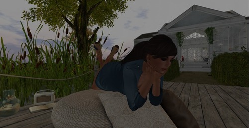 Web 5548c3acf8a1ec6666000001