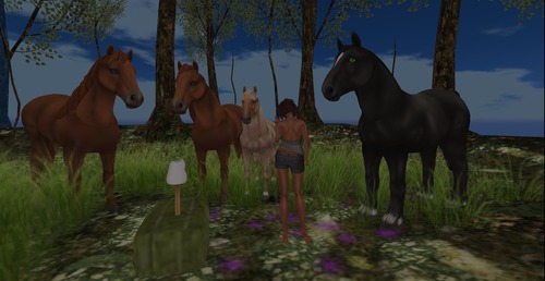 Web 55550aaea73e215380000001