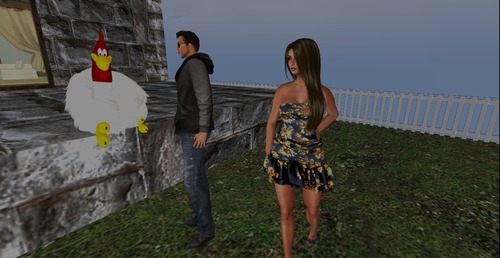 Web 555d0257a73e217aa5000001