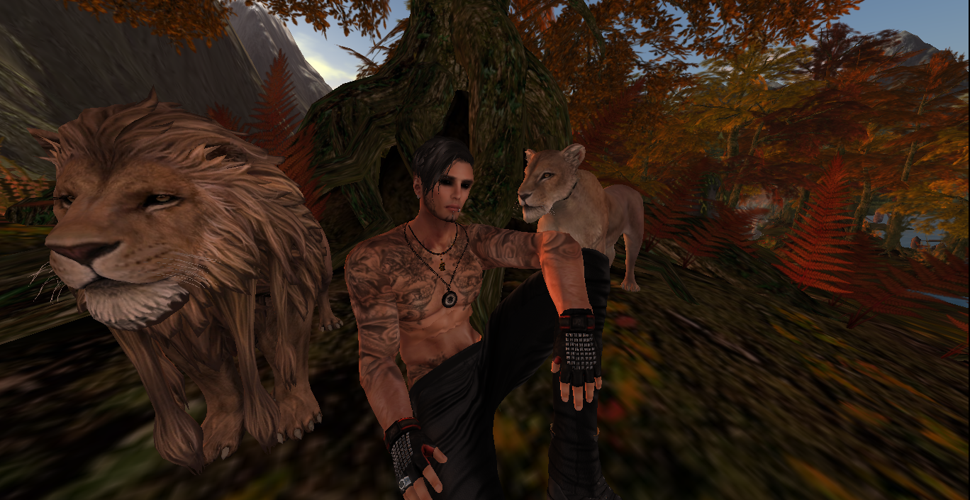 Original 54f1da8b128cc96bb9000001