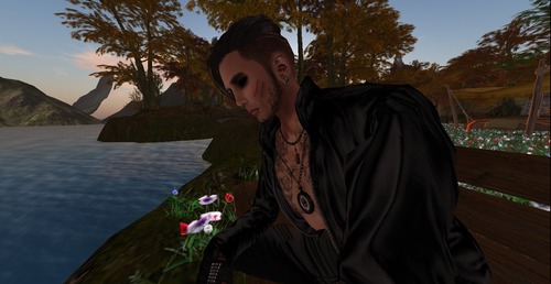 Web 54f1d8d3128cc95e87000001