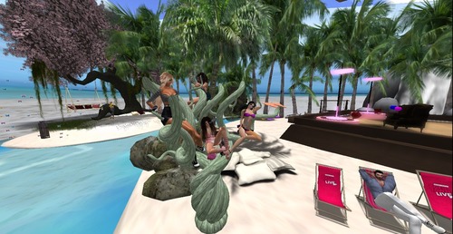 Web 5516de02f8a1ec446d000001