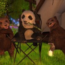 Thumb 56d72ed3f8a1ec2382000001