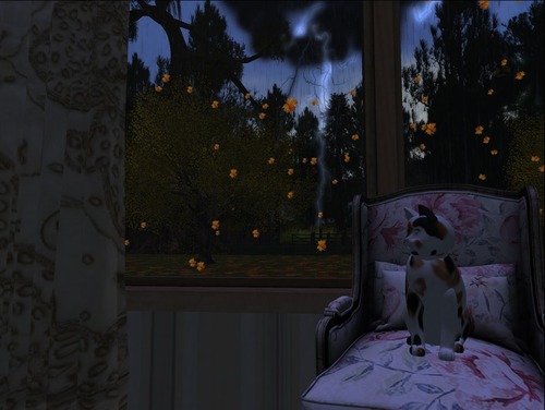 Web 57eebf57b713f75dec000001