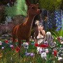 Thumb 54d263b7a73e214e7f000001