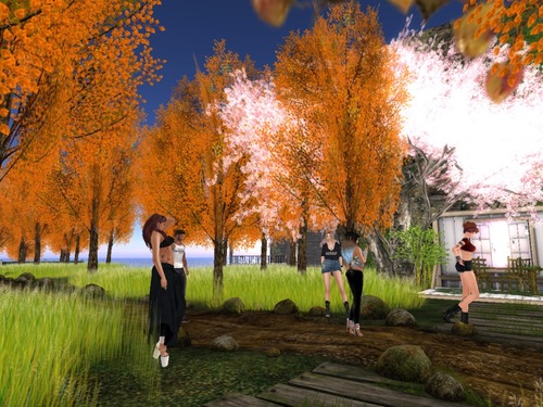 Web 5627a8698da5723c68000001