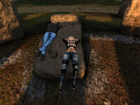 Small 65ba5ab66d613164fa8812df