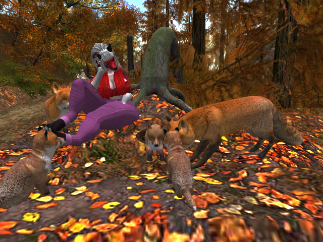 Original 5daf37dc289dd20213000001