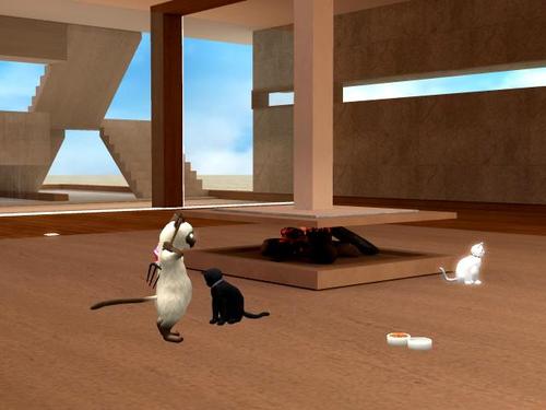 Web 5ba9be4b289dd25622000001