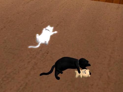 Web 5baa622c289dd23553000001