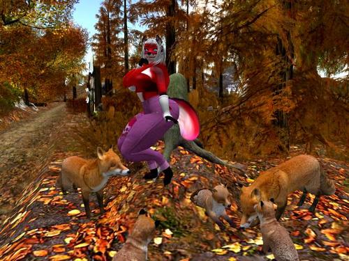 Web 5daf362c73ed1775e6000001