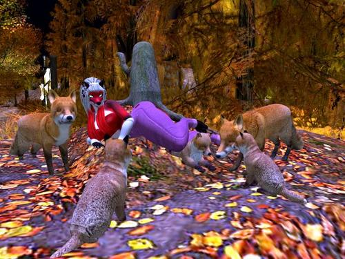 Web 5daf390973ed170500000001