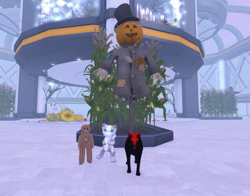 Web 65200b2c6915160fe6ef3d41